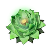 Life Lotus (L)