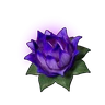 Carrying Lotus (S)