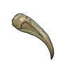 Precious Claw