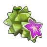 Starfruit ☆3