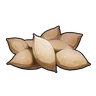 PotatoSeedPotatoes