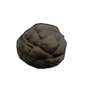 Dung